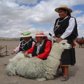 Regional Atacama