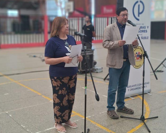 olimpiadas ñuble