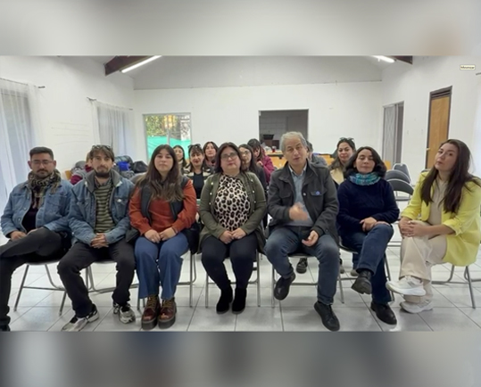 ayuda lirquén